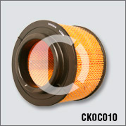 CK0C010