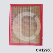 CK12968