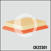 CK22301