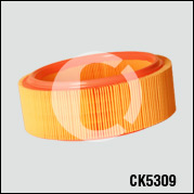 CK5309