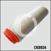 CK8934